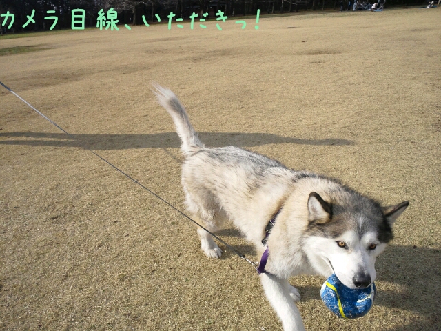 d0241911_18424029.jpg