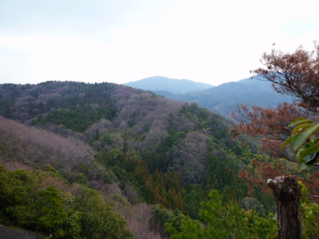 d0170615_1915791.jpg
