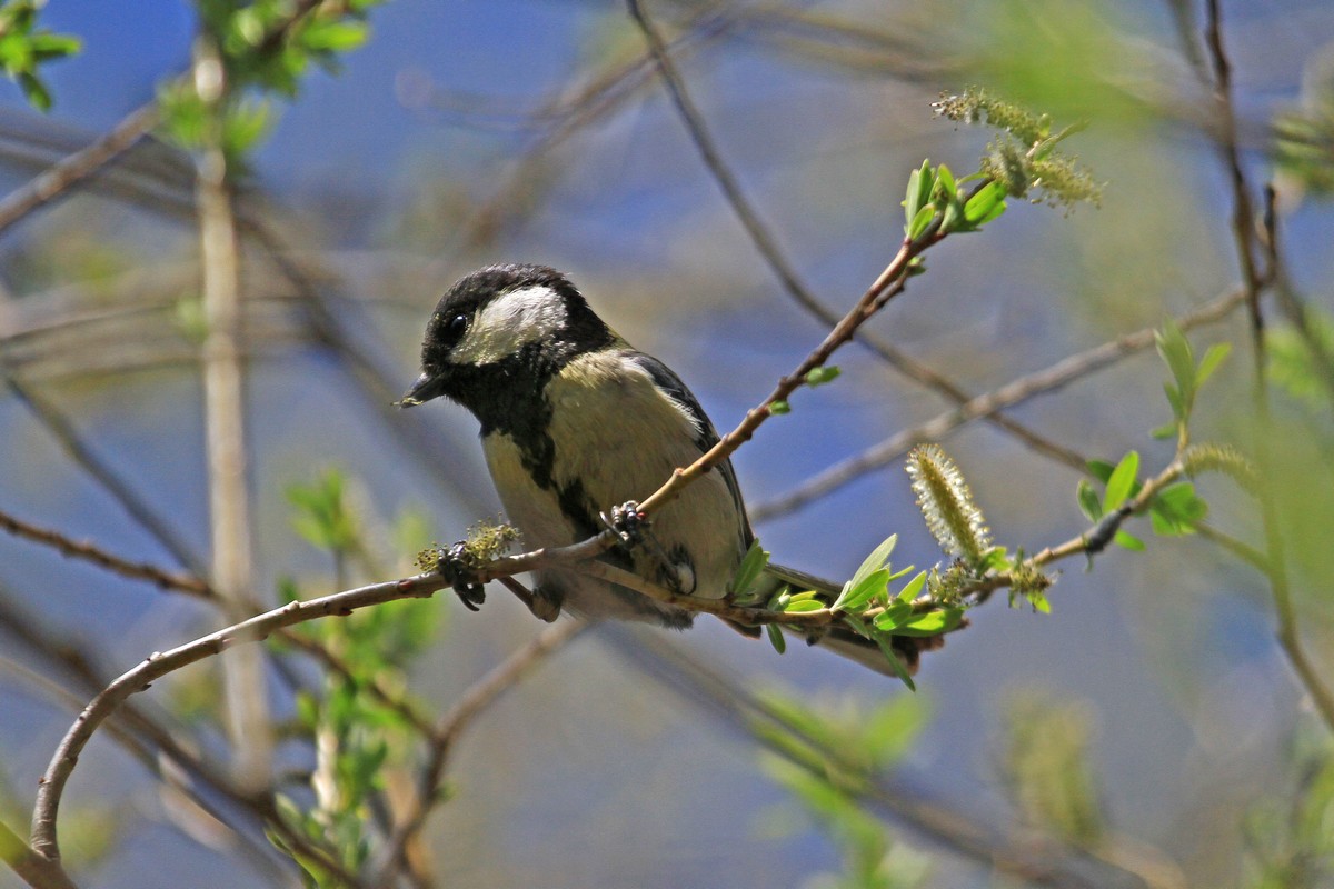 c0104227_14212584.jpg