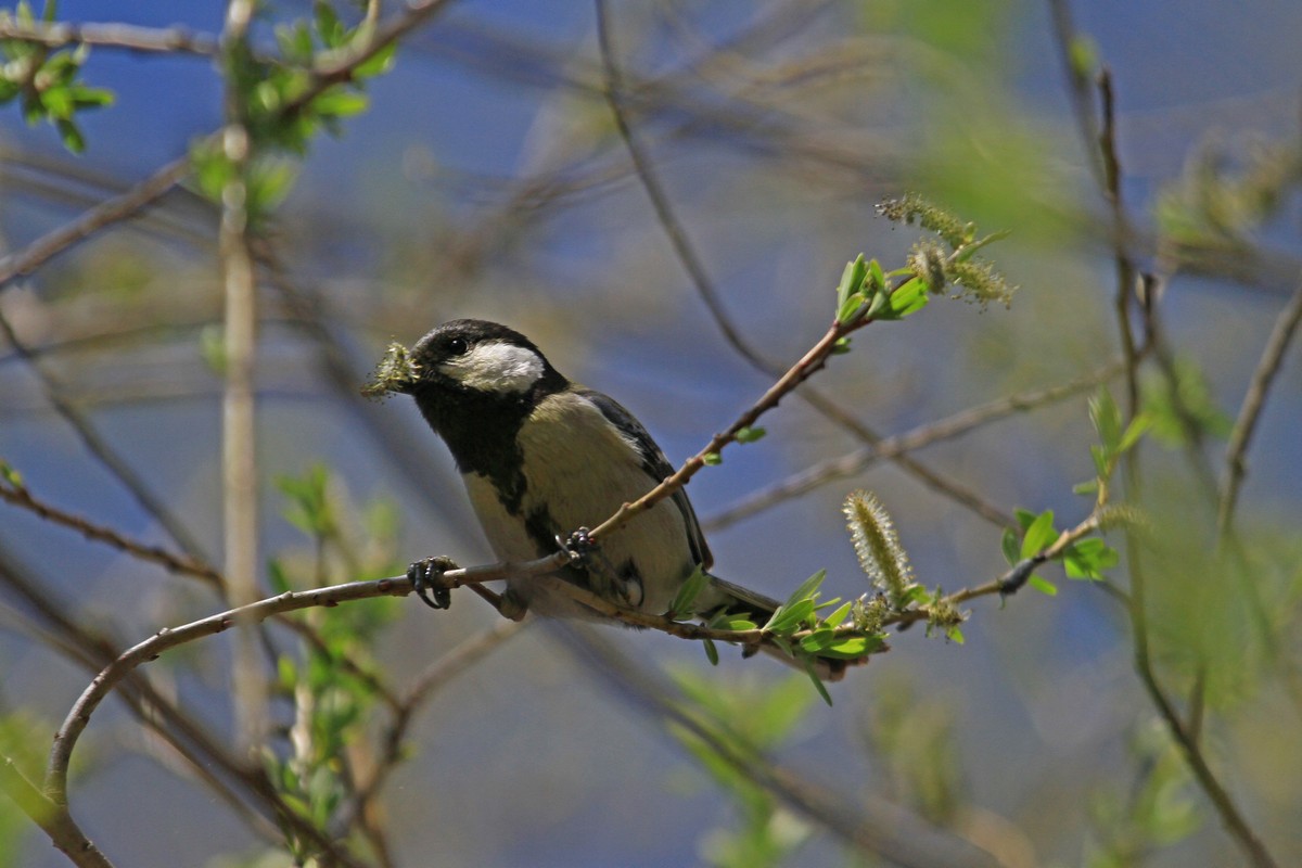 c0104227_14215656.jpg