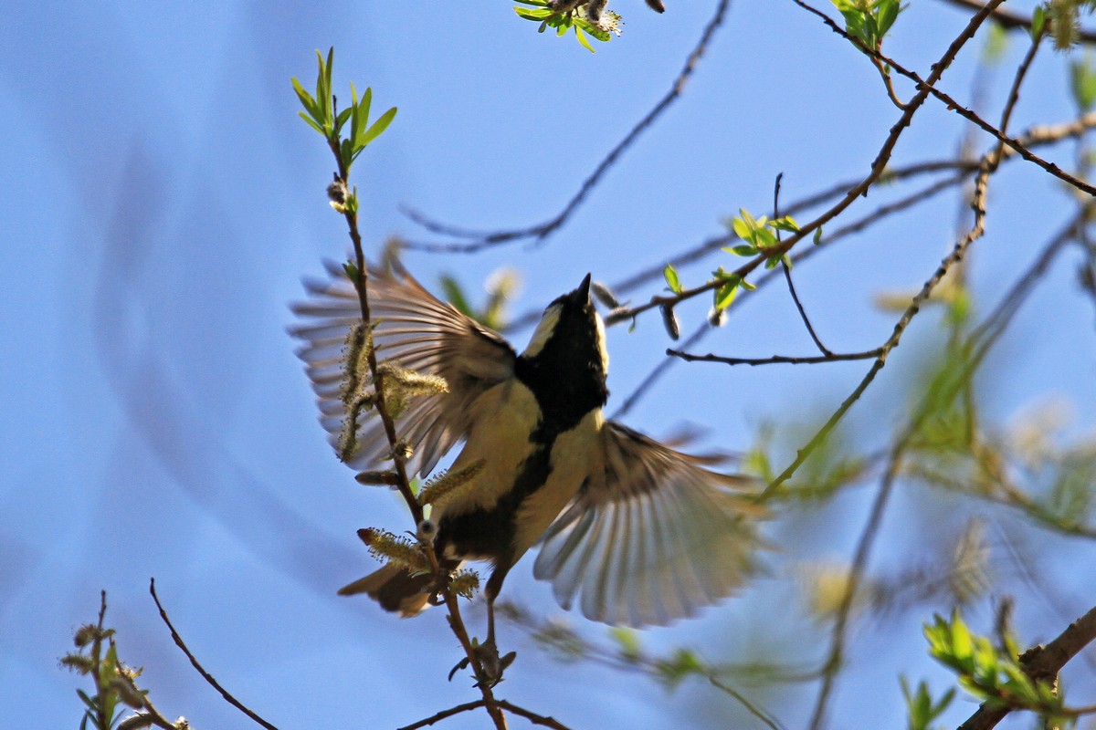 c0104227_14222387.jpg