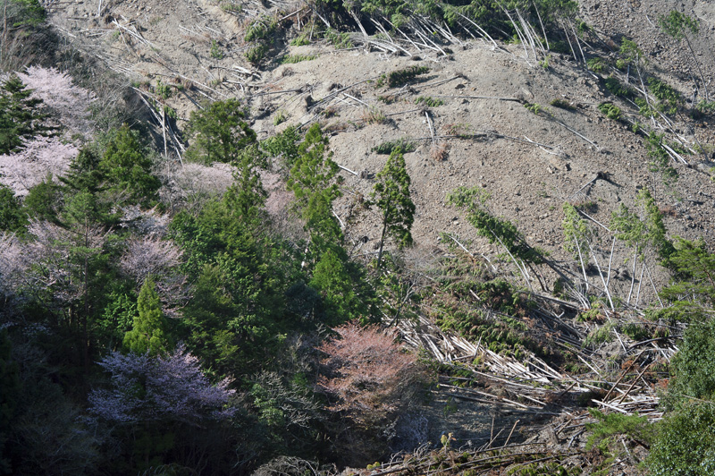 d0147530_12111510.jpg