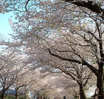 a0206332_8264655.jpg