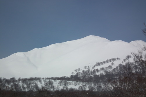 f0118332_103739.jpg