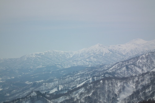 f0118332_105152.jpg