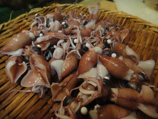 f0208737_7571384.jpg