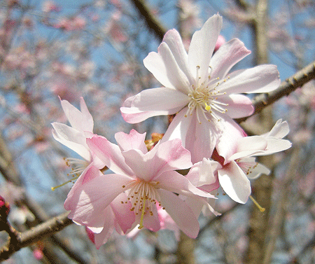 a0001354_22593973.gif