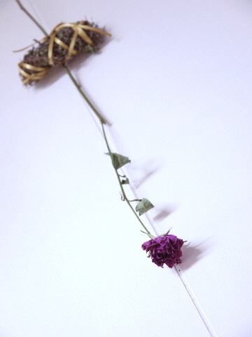 e0086864_22551188.jpg