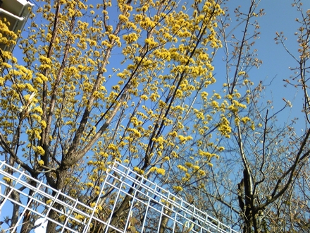 a0211669_124545.jpg