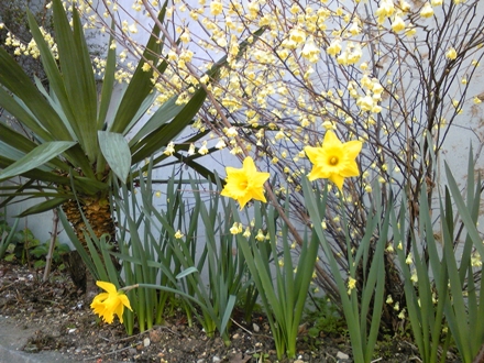 a0211669_126056.jpg