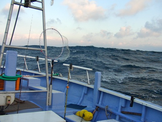 b0204878_17164092.jpg