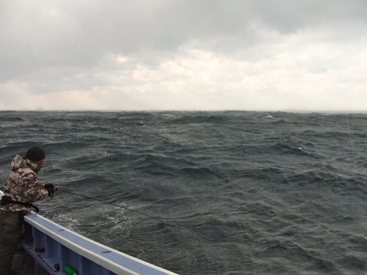 b0204878_17164516.jpg