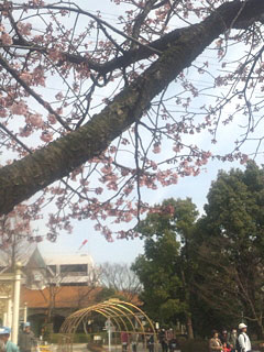 a0036780_21354718.jpg