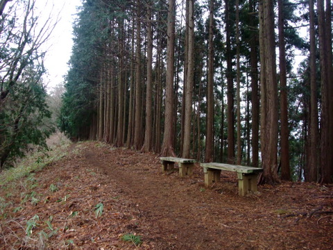 a0043982_17245734.jpg
