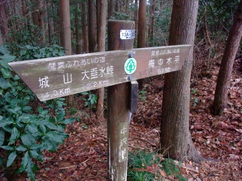 a0043982_19141982.jpg