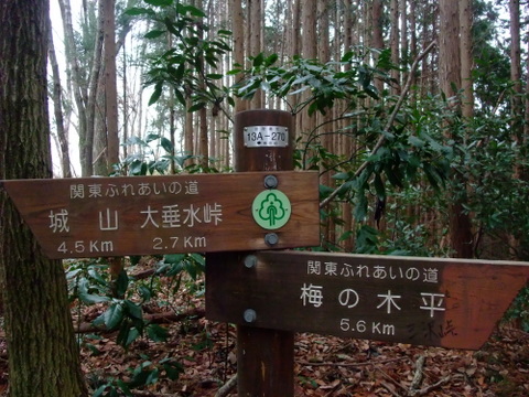 a0043982_19153790.jpg