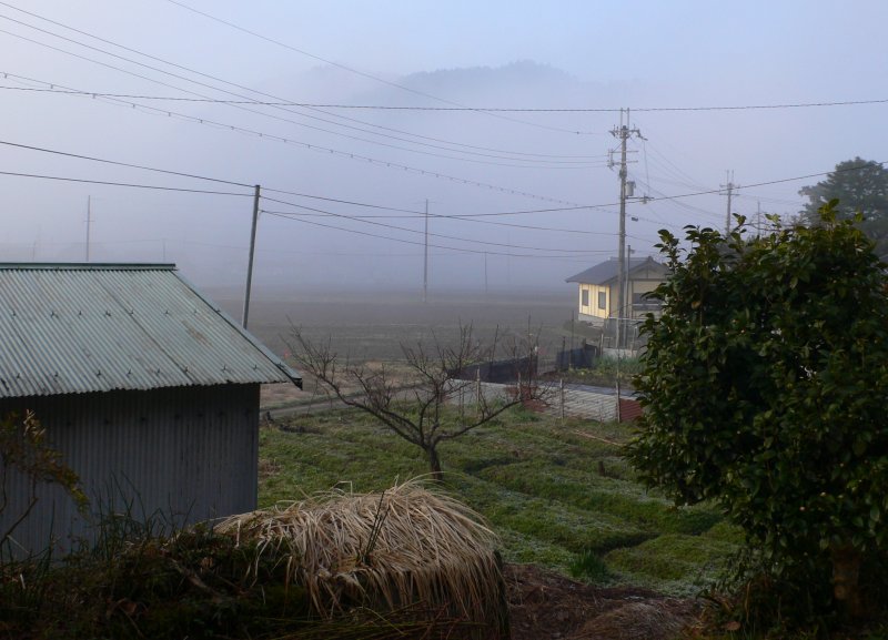 b0042882_10341056.jpg
