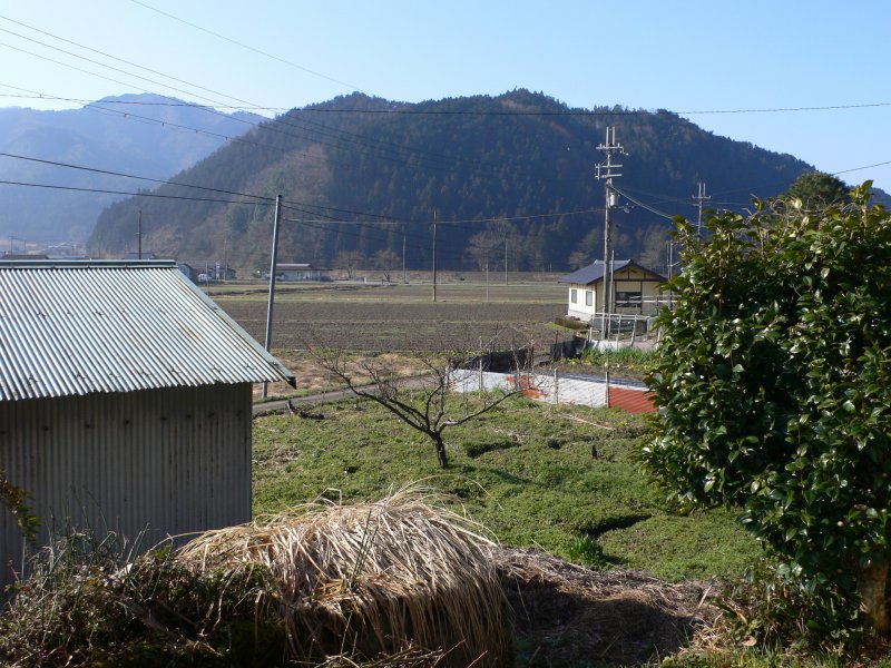 b0042882_10543293.jpg