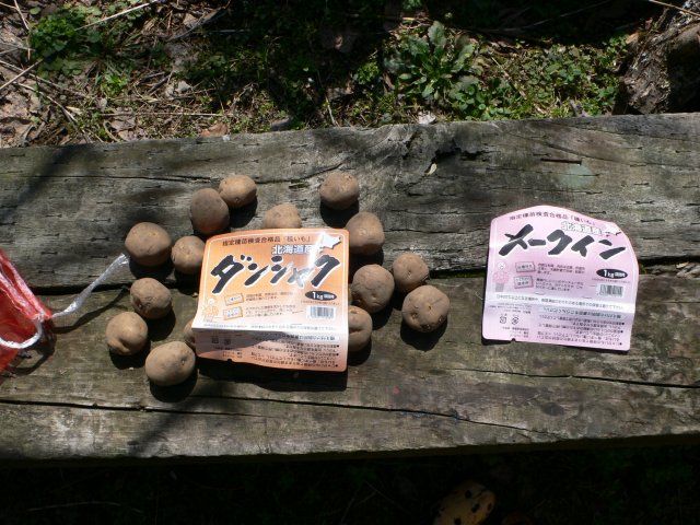 b0042882_12183040.jpg