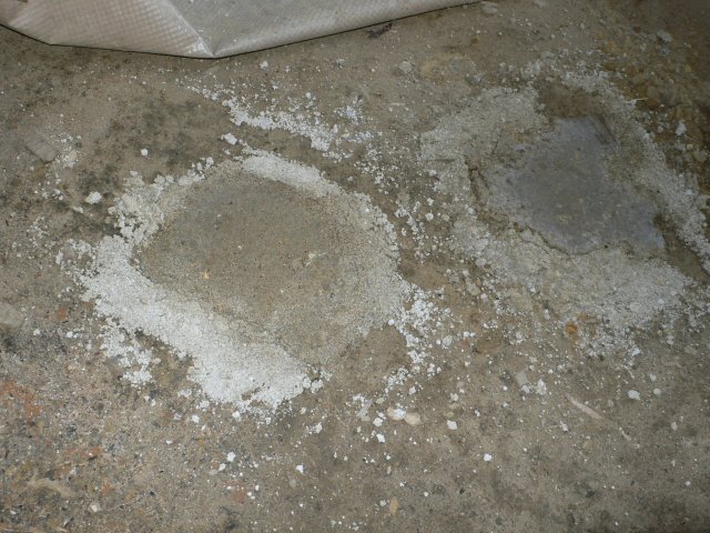 b0042882_12211651.jpg