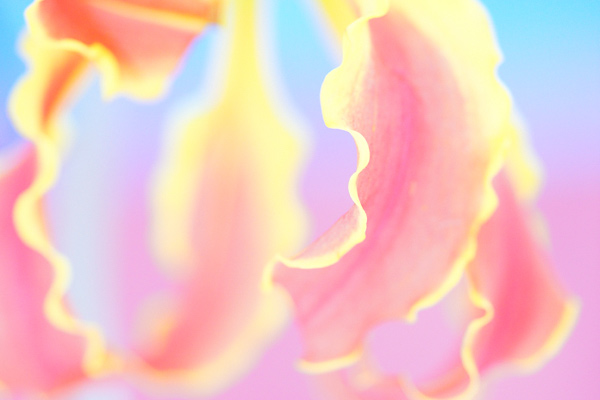 c0203584_4392249.jpg