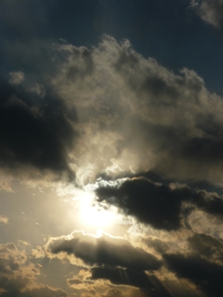 a0152785_223398.jpg