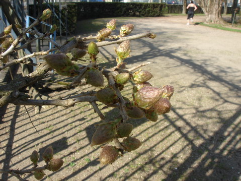 a0247585_7325156.jpg
