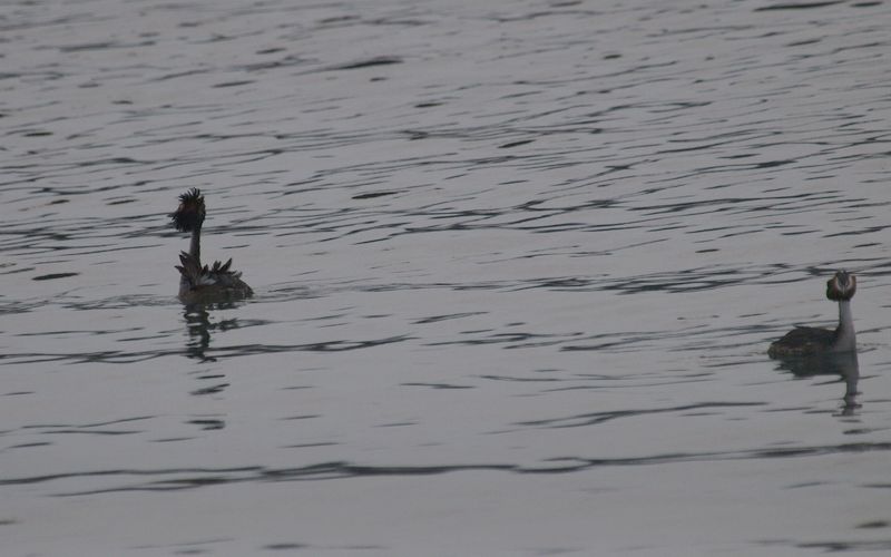 b0108186_1255164.jpg