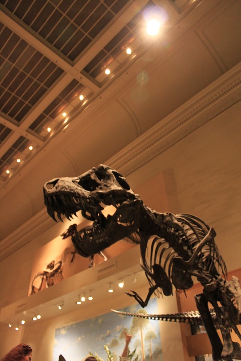 a0164088_85331100.jpg