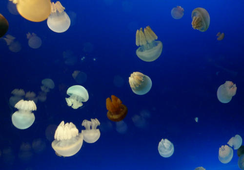 b0029488_23282254.jpg
