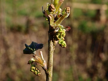 b0110999_3552.jpg