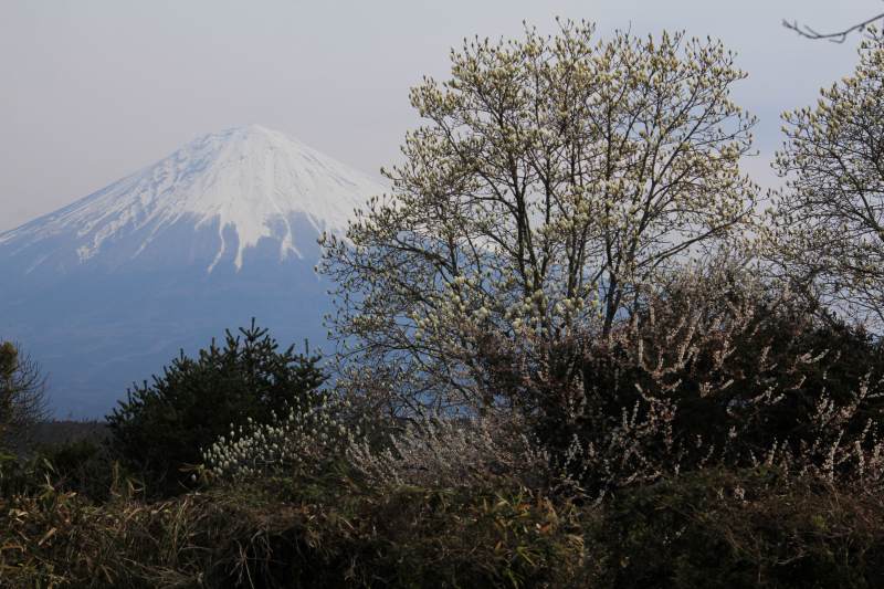 a0188405_161381.jpg