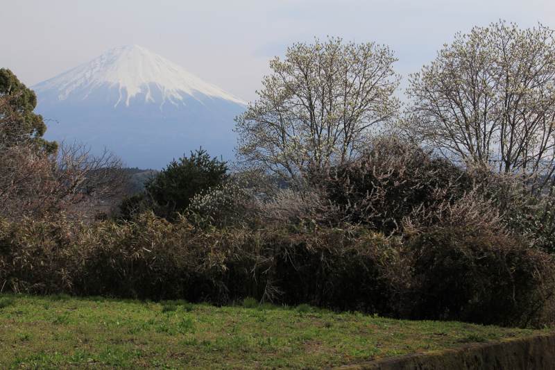 a0188405_1643035.jpg