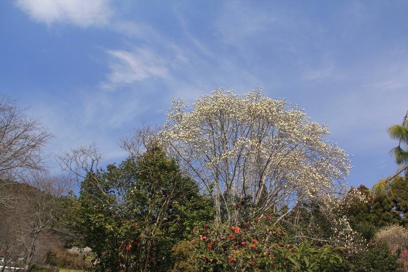 a0188405_1643429.jpg