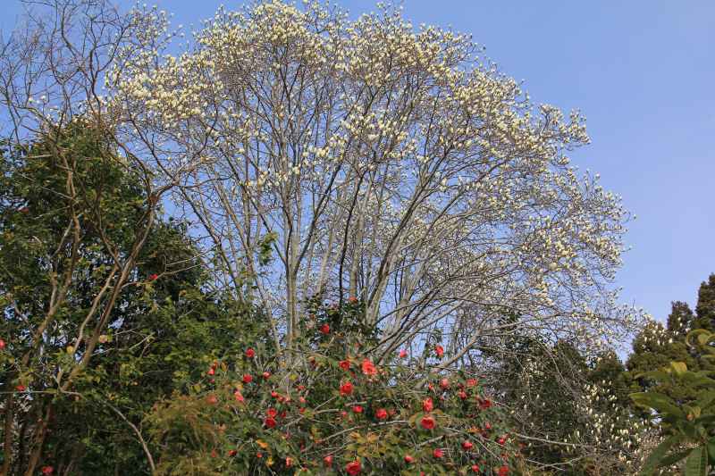 a0188405_16435581.jpg