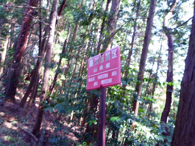 d0170615_12484569.jpg