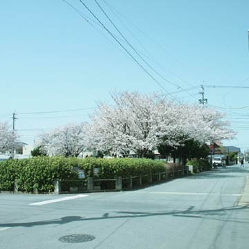 c0103119_1641141.jpg