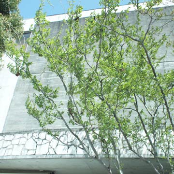 c0103119_16557100.jpg