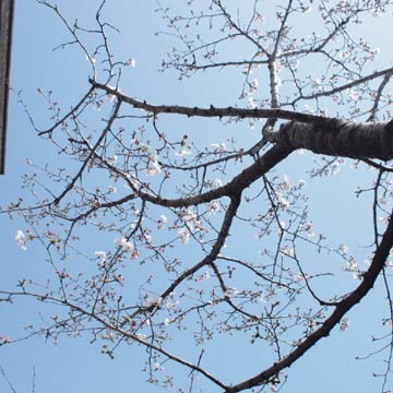 c0103119_1659632.jpg