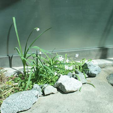 c0103119_1675625.jpg
