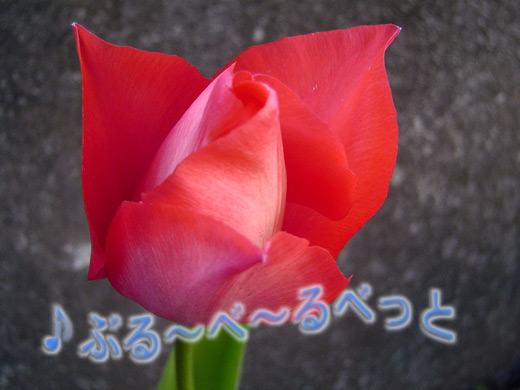 c0147123_2237618.jpg