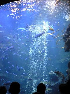 b0080027_20115449.jpg