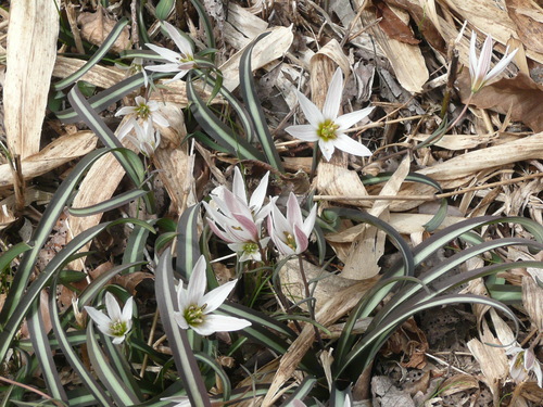 c0009528_2374858.jpg