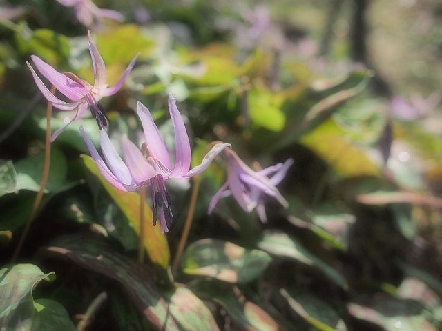 b0134829_910993.jpg