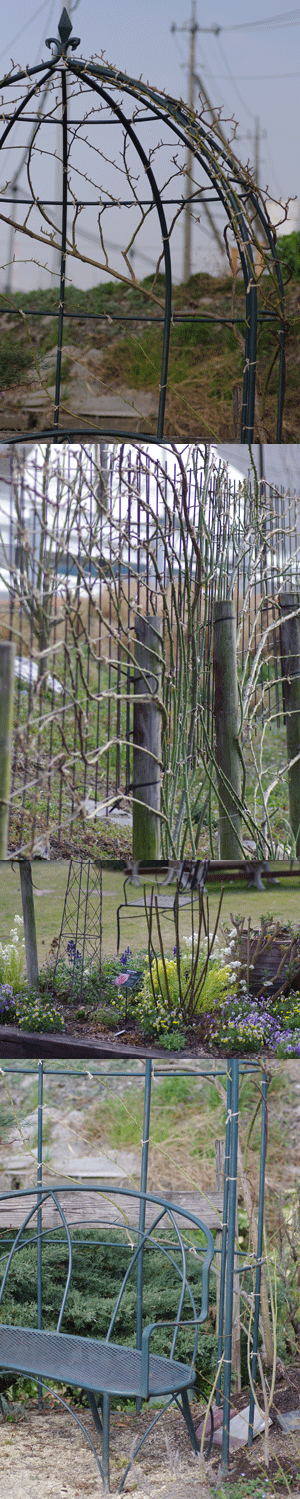 d0140329_1432895.gif