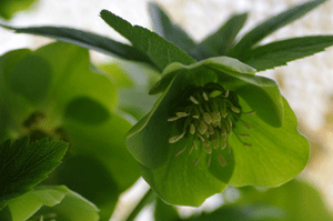 d0140329_1525720.gif