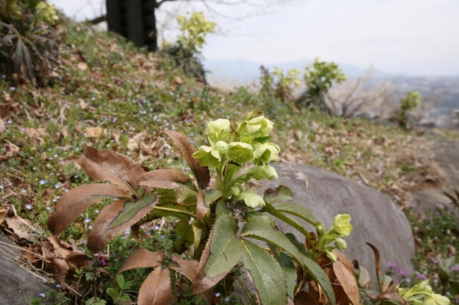 f0017530_21111130.jpg