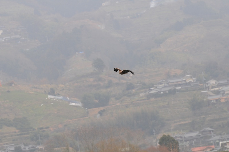 a0017634_8232334.jpg