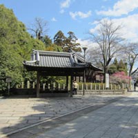 d0033734_2357471.jpg
