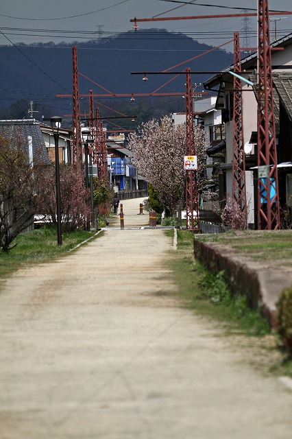 a0242438_938748.jpg
